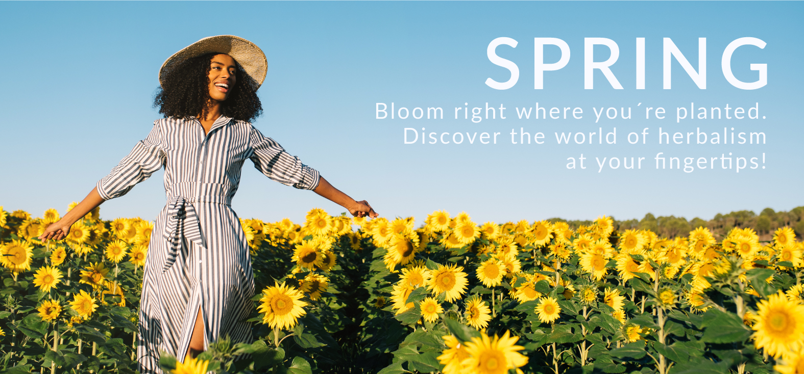 SPRING-WEBSITE-BANNER